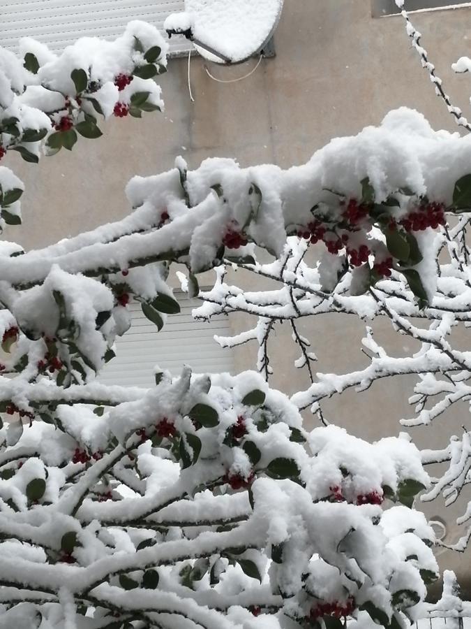 L Agrifoglio Di Rita Loddo Apartman Fonni Kültér fotó